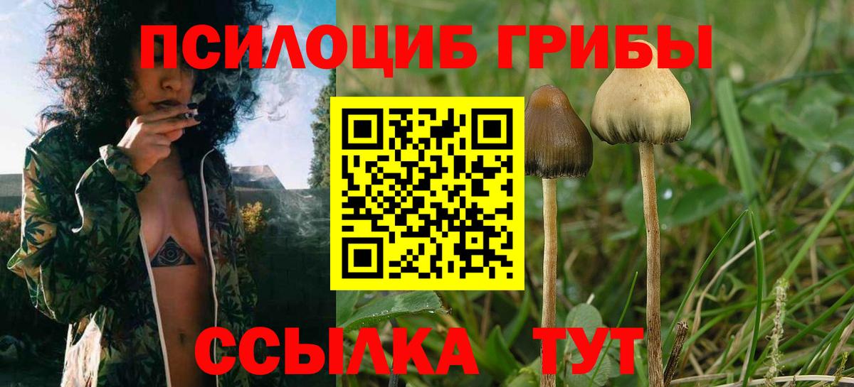 Псилоцибиновые грибы мухоморы Узловая